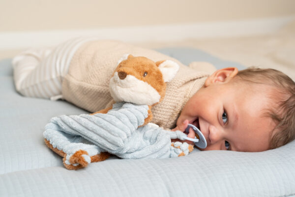 Dou dou volpe - Forest Friends GRS